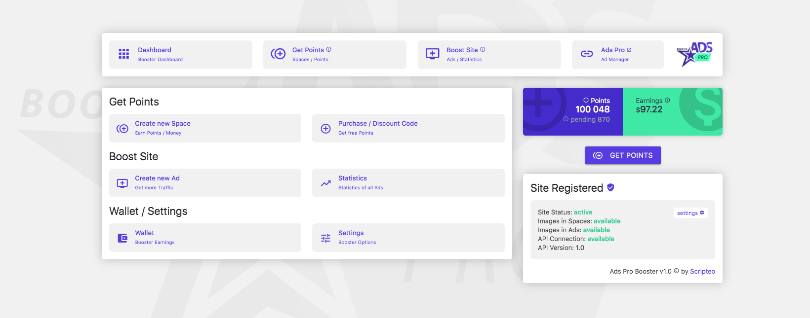 WP Booster dashboard screenshot