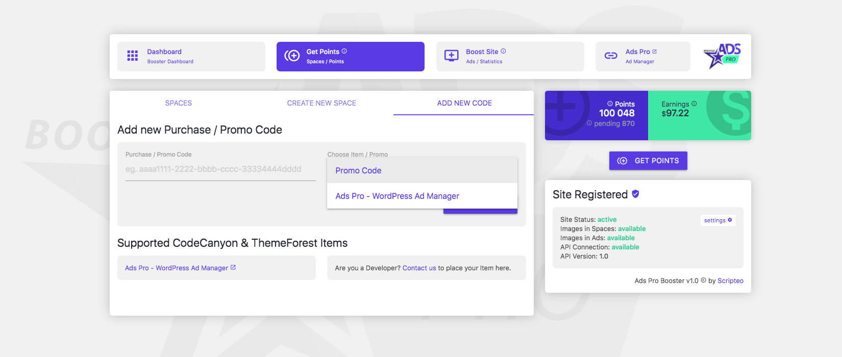 Purchase / Promo Code